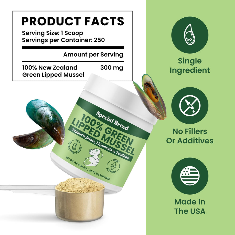 Special Breed Green Lipped Mussel Powder mixes easily into pet meals.