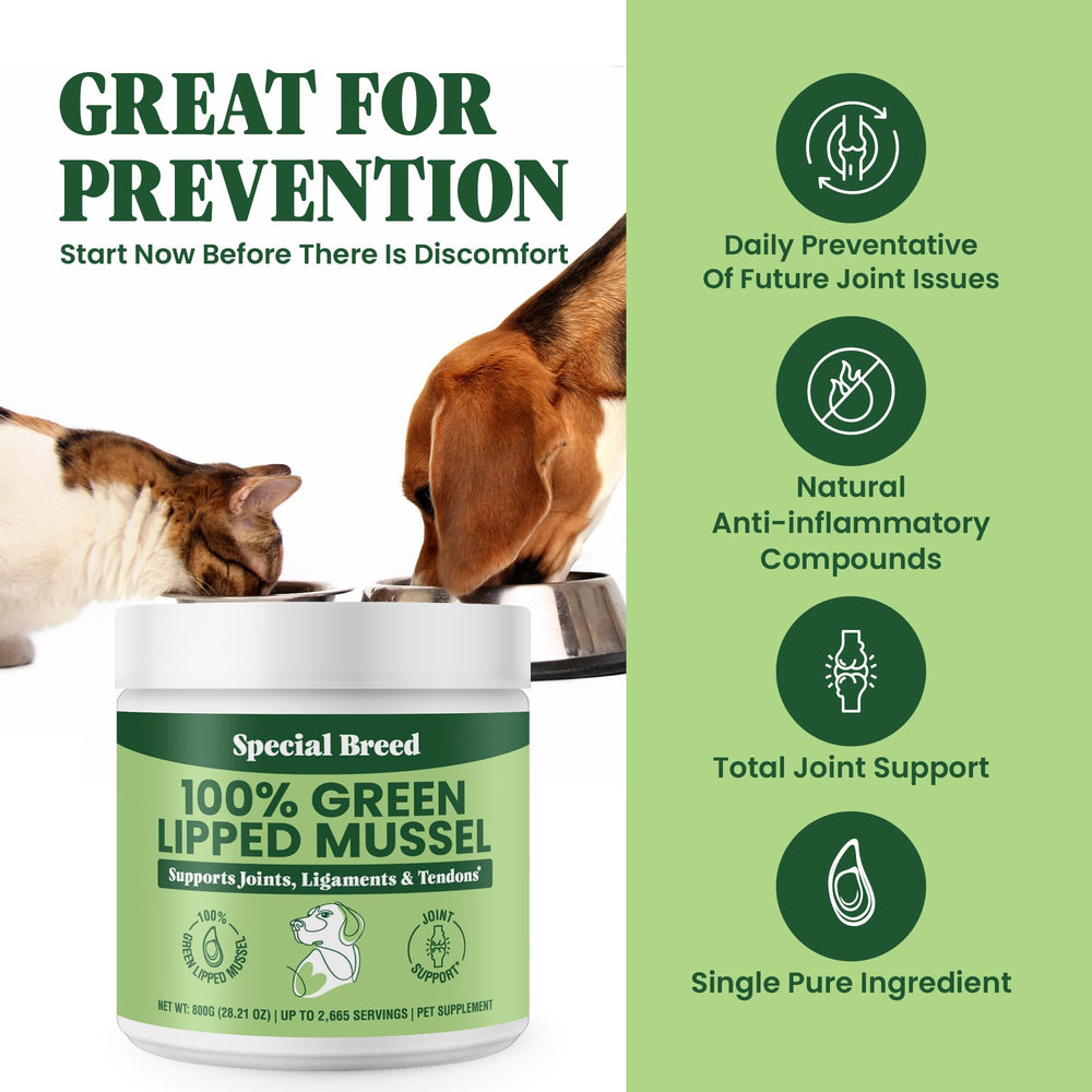 Special Breed green lipped mussel powder label highlights New Zealand origin.