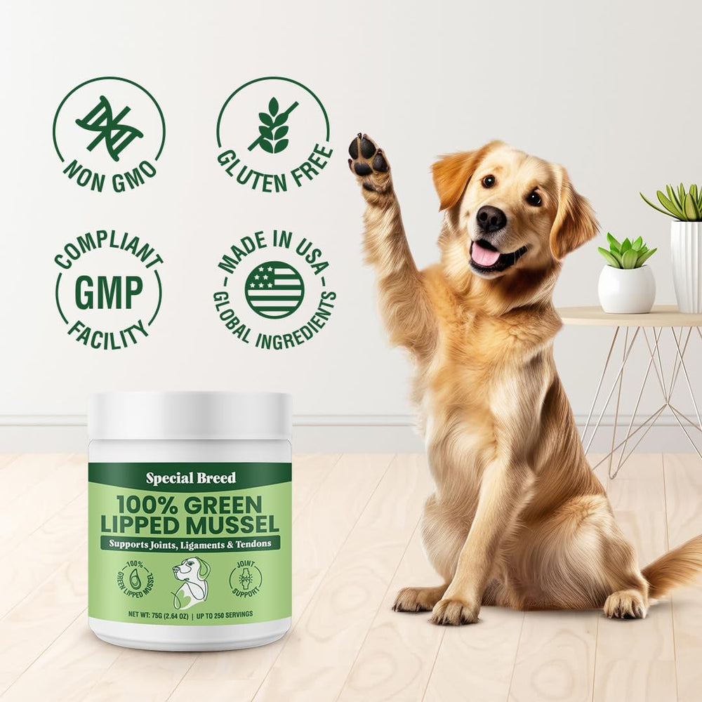 Special Breed Green Lipped Mussel Powder origin New Zealand highlighted on packaging.