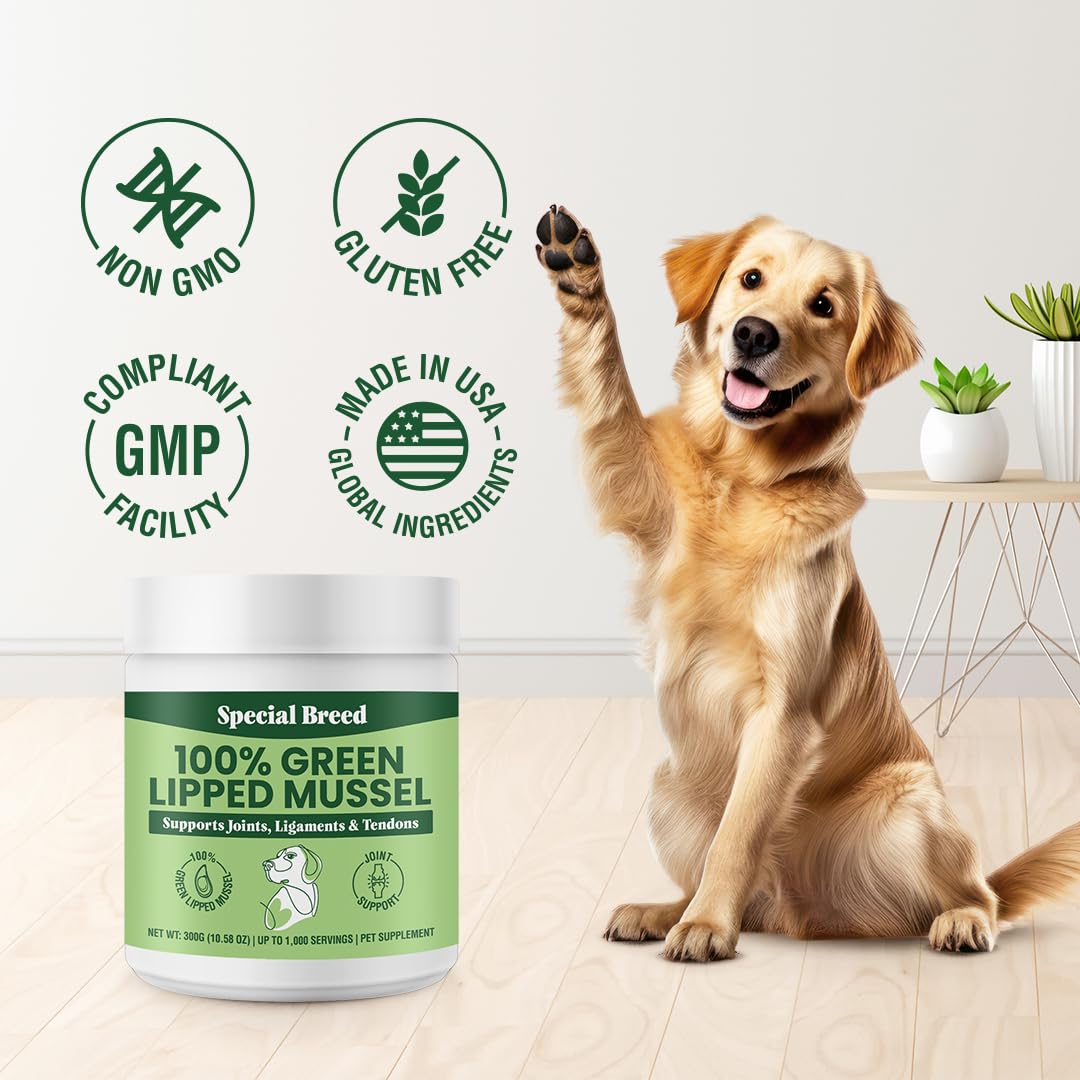 Special Breed Green Lipped Mussel Powder packaging