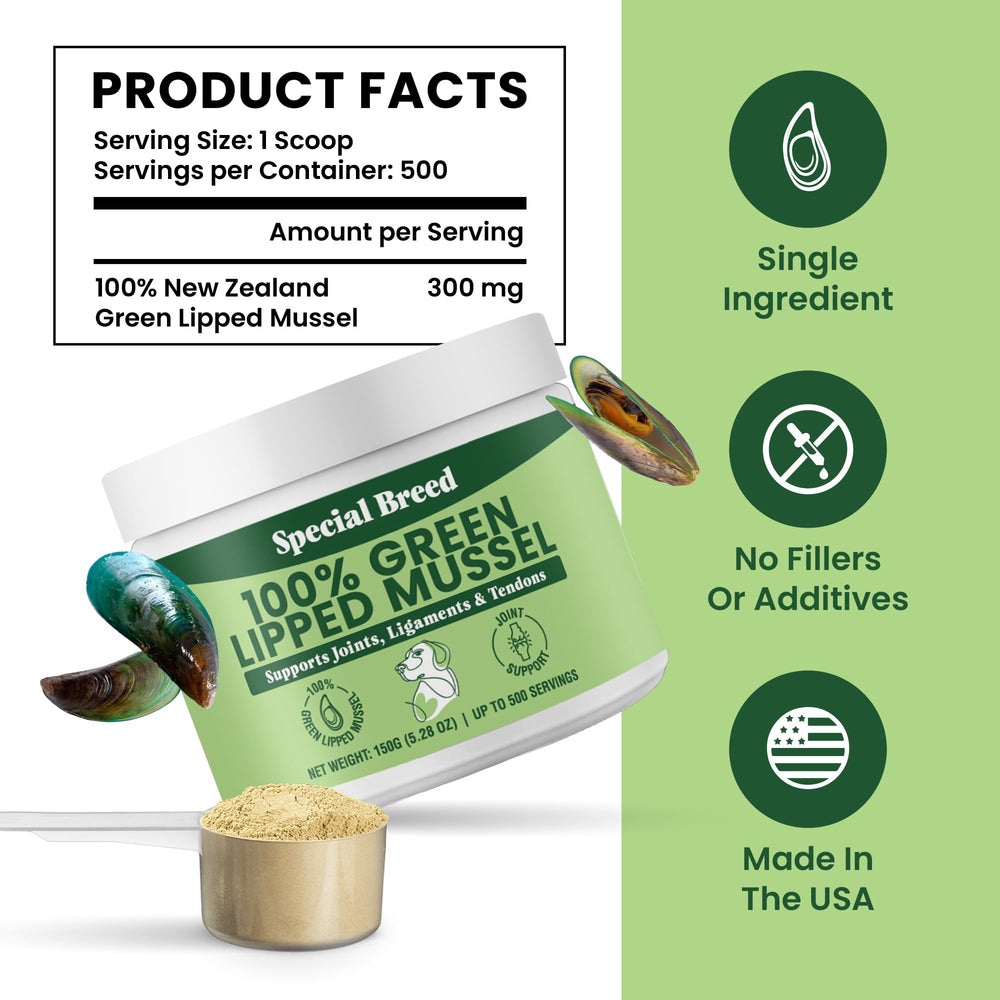 Special Breed Green Lipped Mussel Powder texture close-up reveals powdery consistency.