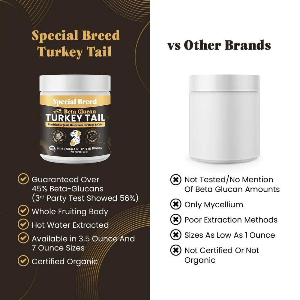 Hot water extraction process enhances potency of Special Breed turkey tail powder