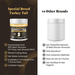 Hot water extraction process enhances potency of Special Breed turkey tail powder