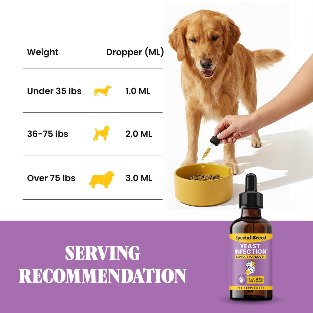Special Breed immune support concept promotes overall wellness for dogs