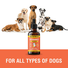 Special Breed Vitamin C for dogs, USA made, supports convenient supplementation.