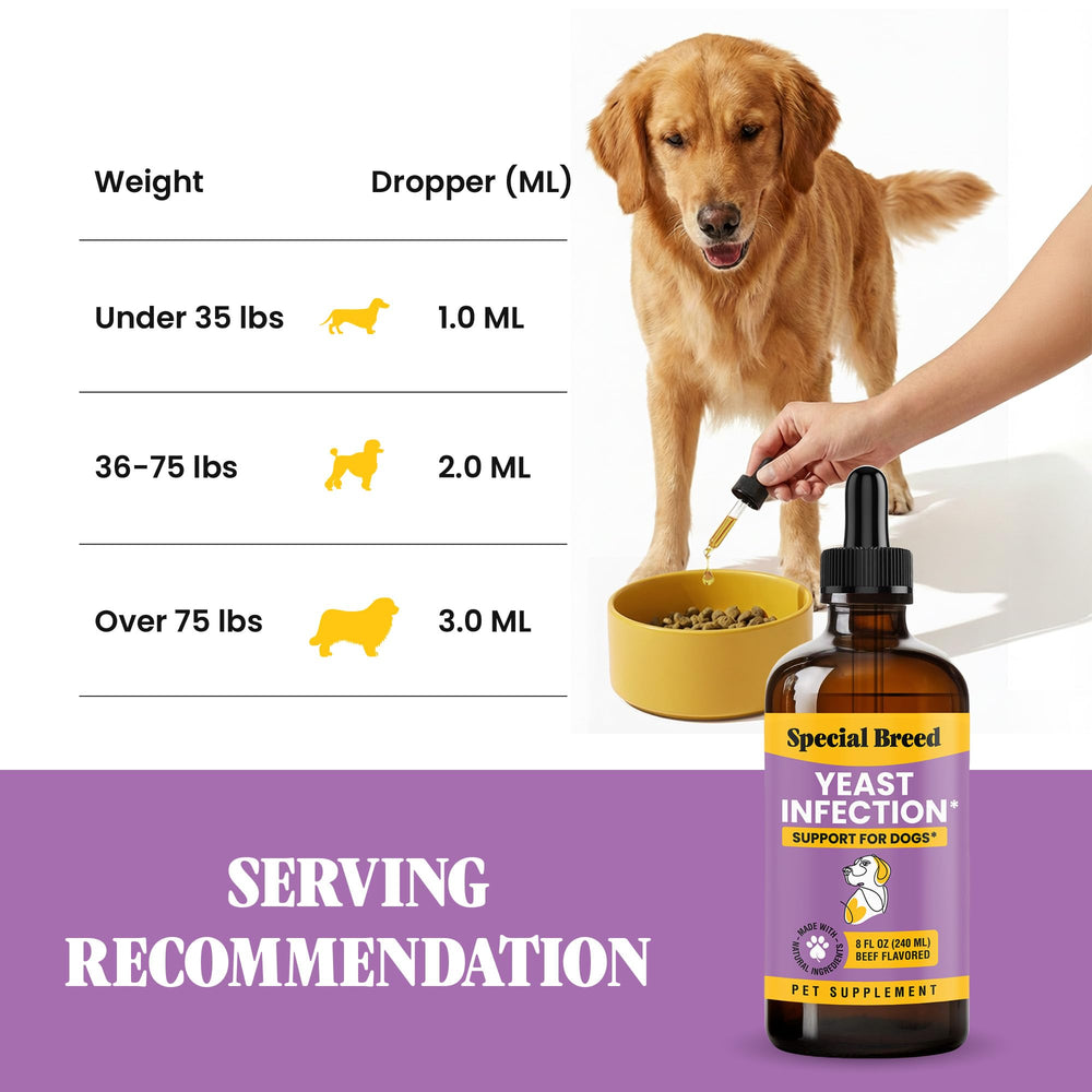 Special Breed plant-based formula for dogs offers gentle daily wellness.