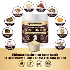 Special Breed immune-support-mushroom-blend supports immune health in daily feeding