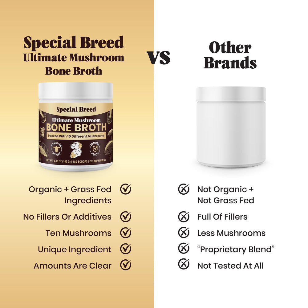 Special Breed joint-mobility-support promotes comfortable daily activity for dogs