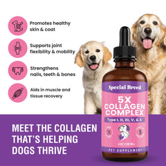Special Breed liquid collagen for dogs taste test supports easy mixing with meals.