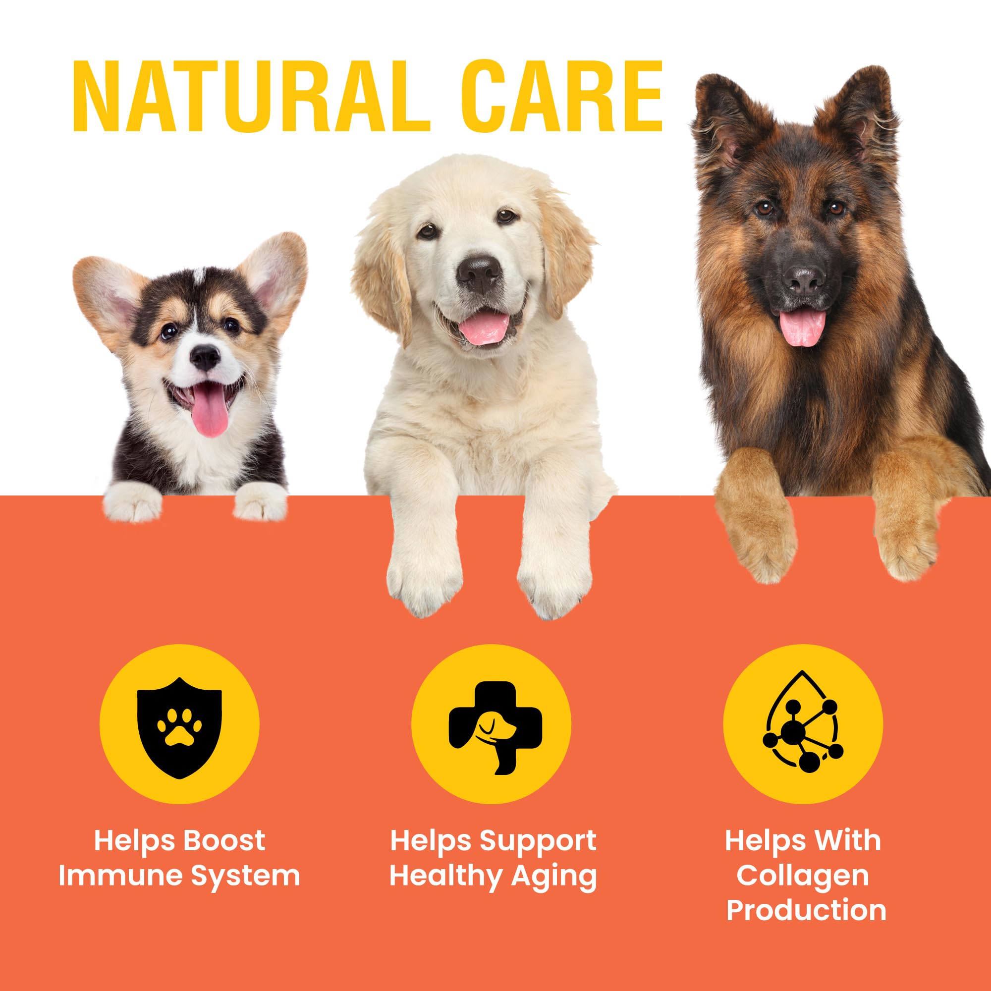 Special Breed vitamin C for dogs in liquid form eases daily dosing.