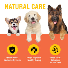 Special Breed vitamin C for dogs in liquid form eases daily dosing.