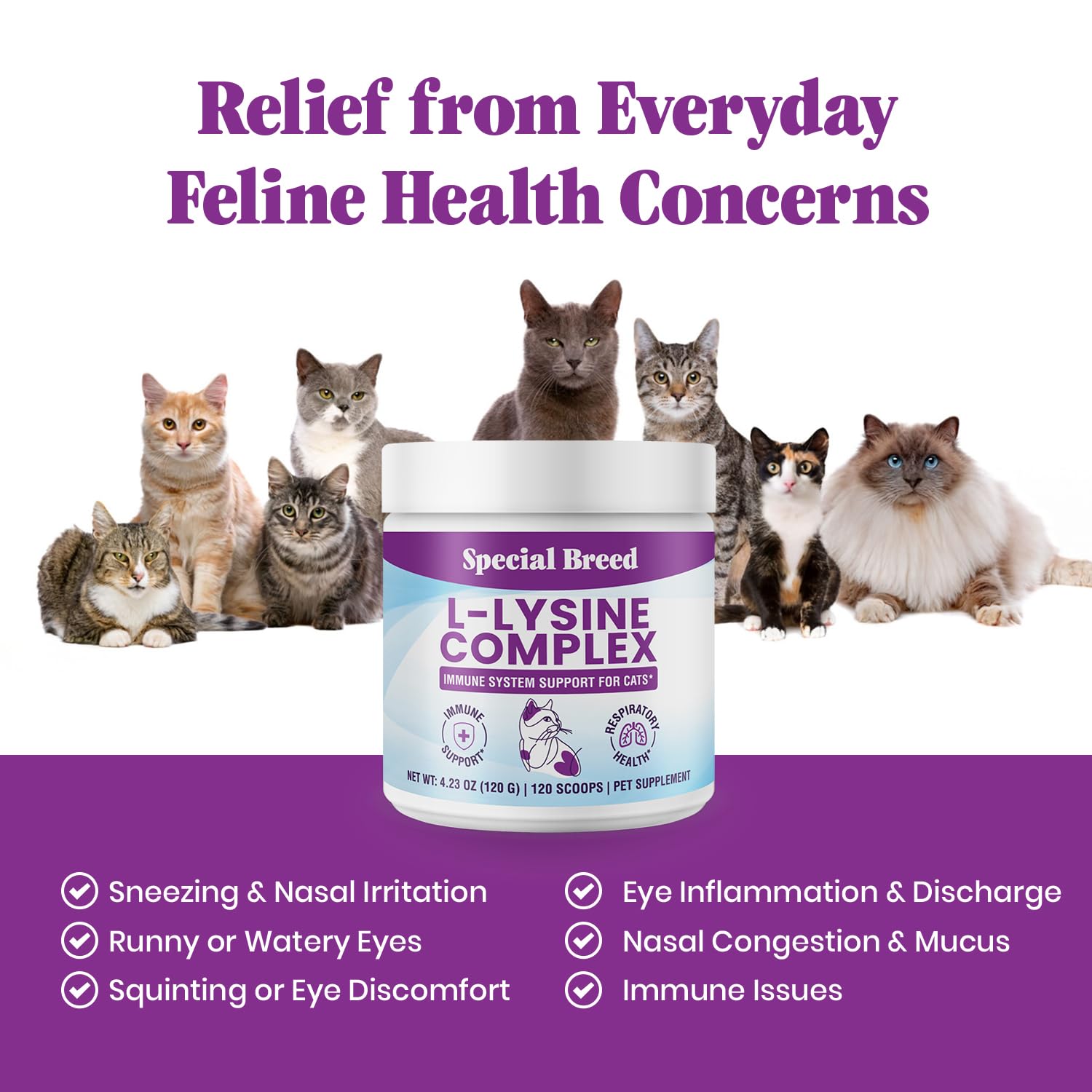 Happy cat beside bowl after adding Special Breed L-Lysine supplement.
