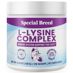 Special Breed L-Lysine cat powder bottle shown for immune and respiratory support.