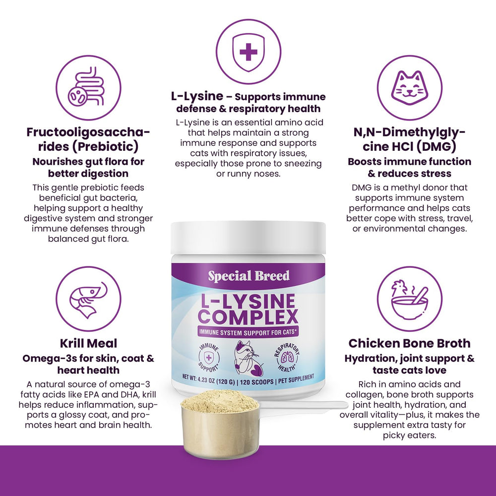Special Breed L-Lysine powder mixed into cat food for daily use.