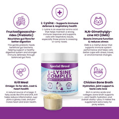 Special Breed L-Lysine powder mixed into cat food for daily use.