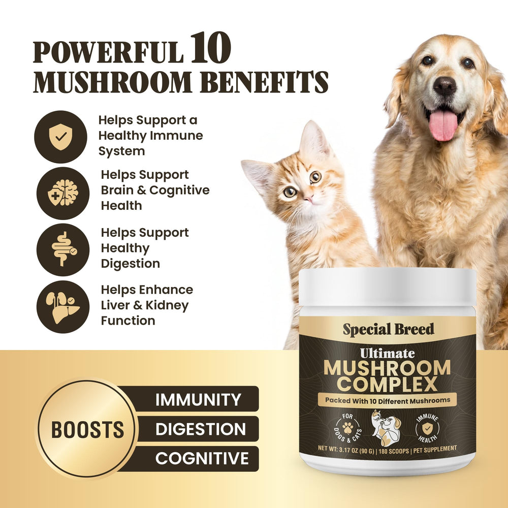 Label close-up shows organic mushroom blend for pets.
