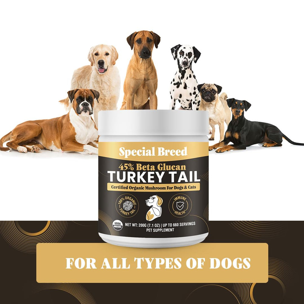 No fillers or grains in Special Breed turkey tail powder for clean nutrition