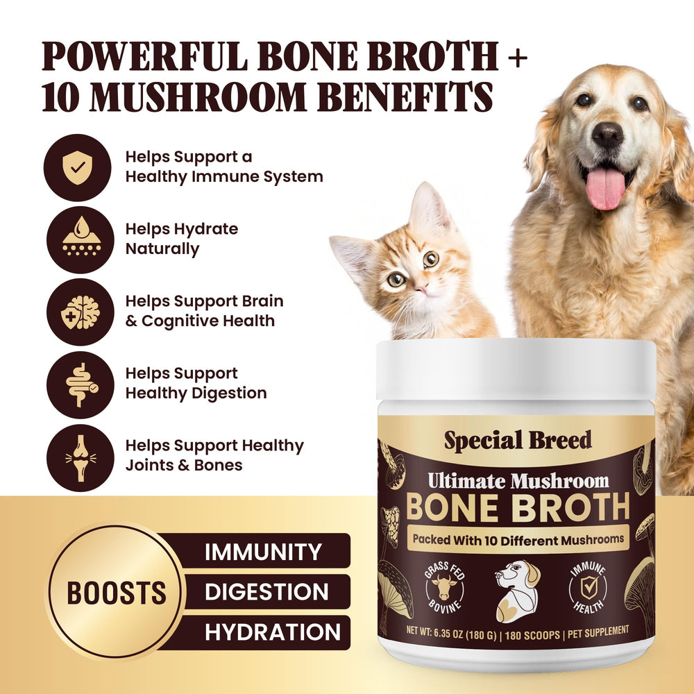 Special Breed organic mushrooms blend adds immune-supporting nutrition to dog meals