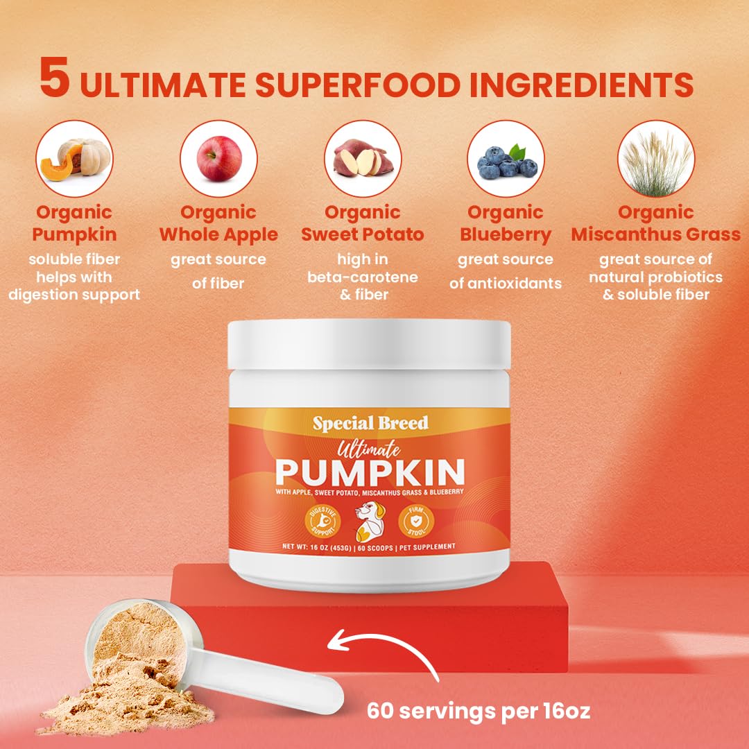 Special Breed Organic Pumpkin Apple Sweet Potato Blueberry powder shows fiber-rich nutrition.