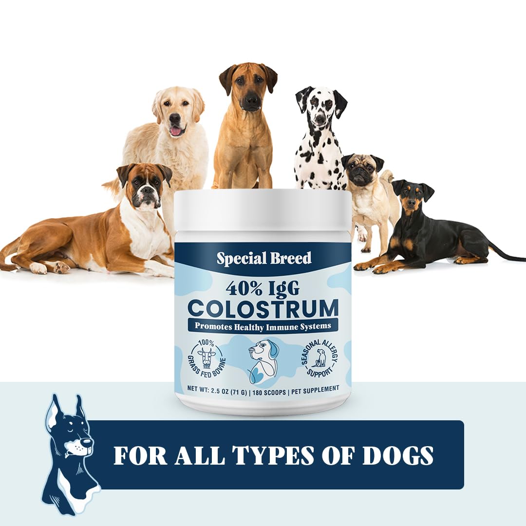 Special Breed packaging-front demonstrates a trusted premium canine supplement.