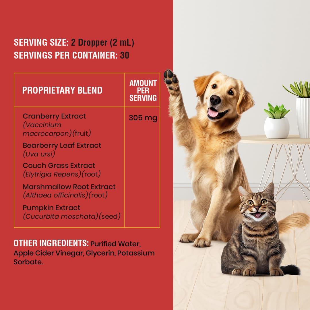 Special Breed pet using drops during routine care at home.
