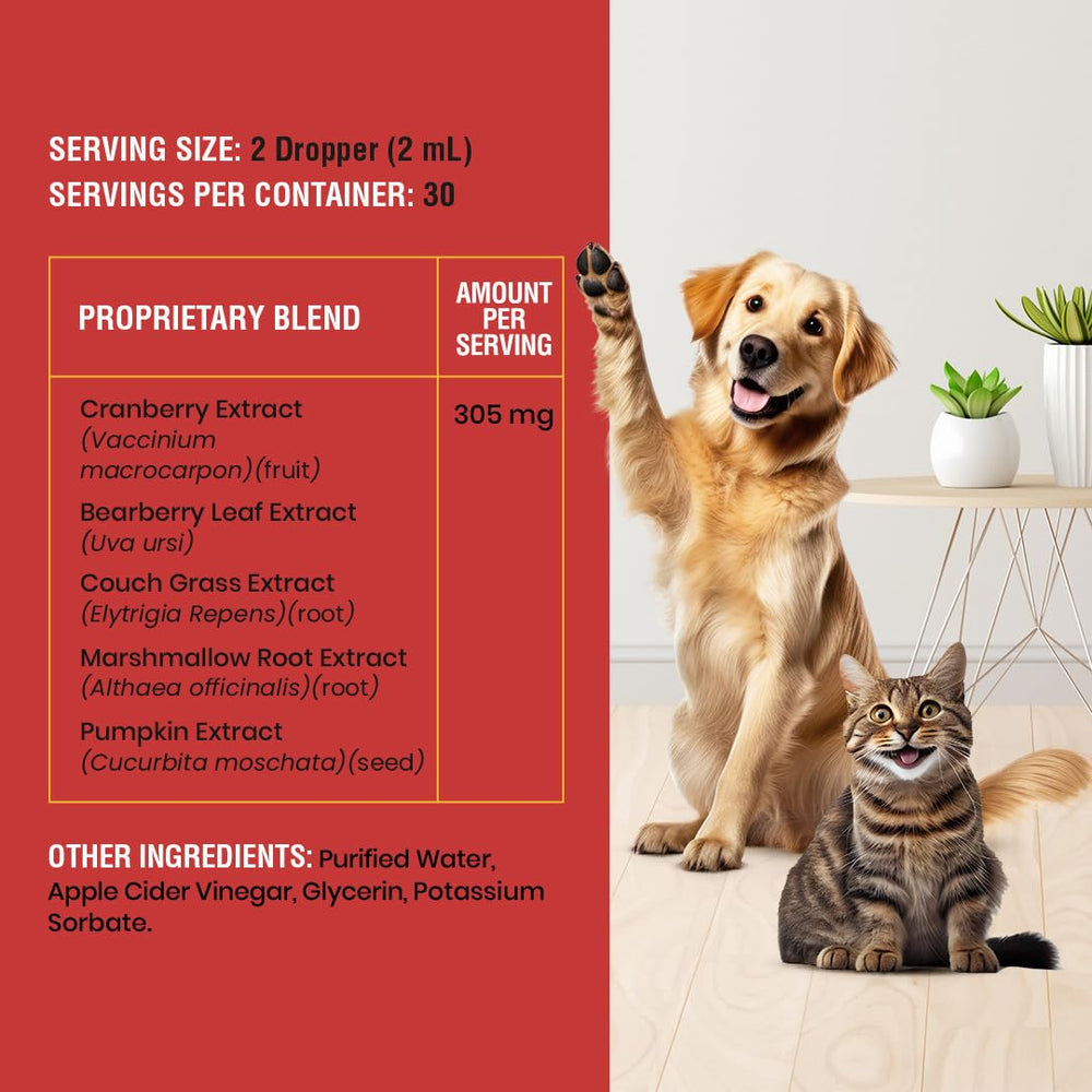 Special Breed pet using drops during routine care at home.