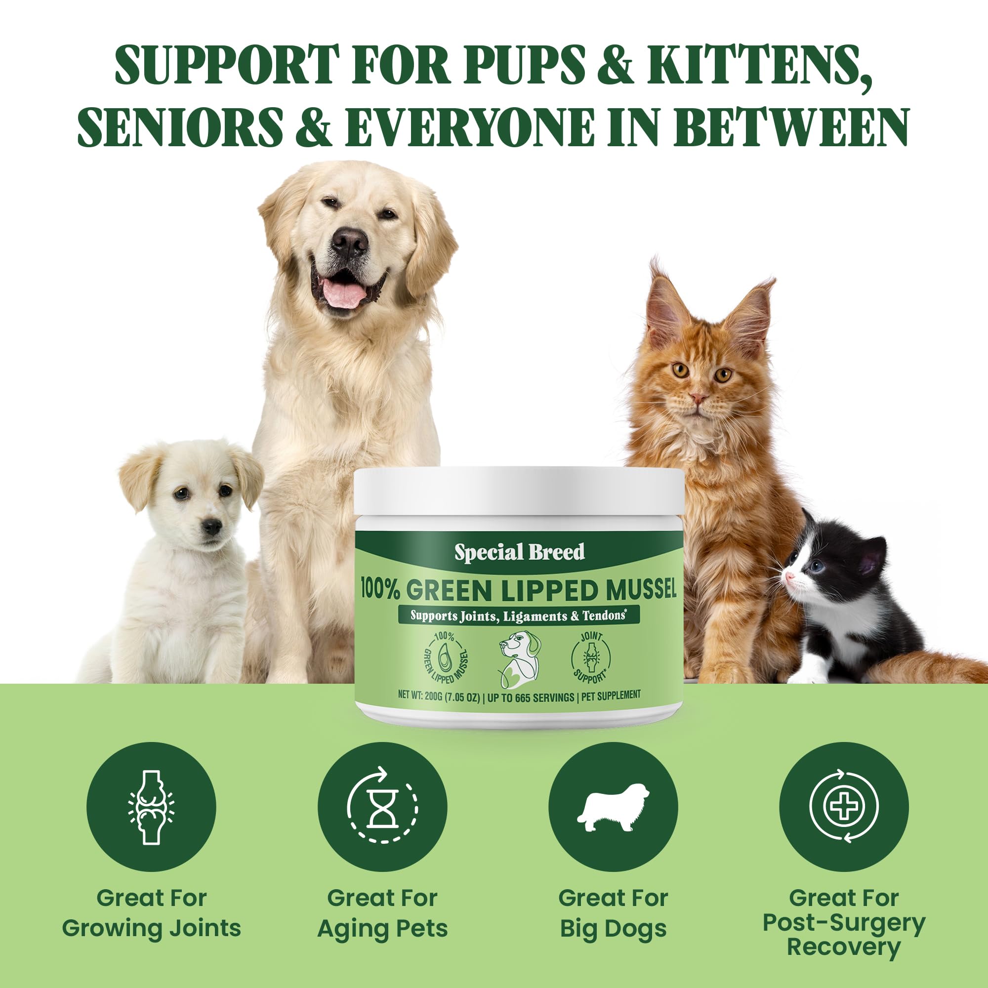 Special Breed powder for meal mix aiding ease of daily feeding.
