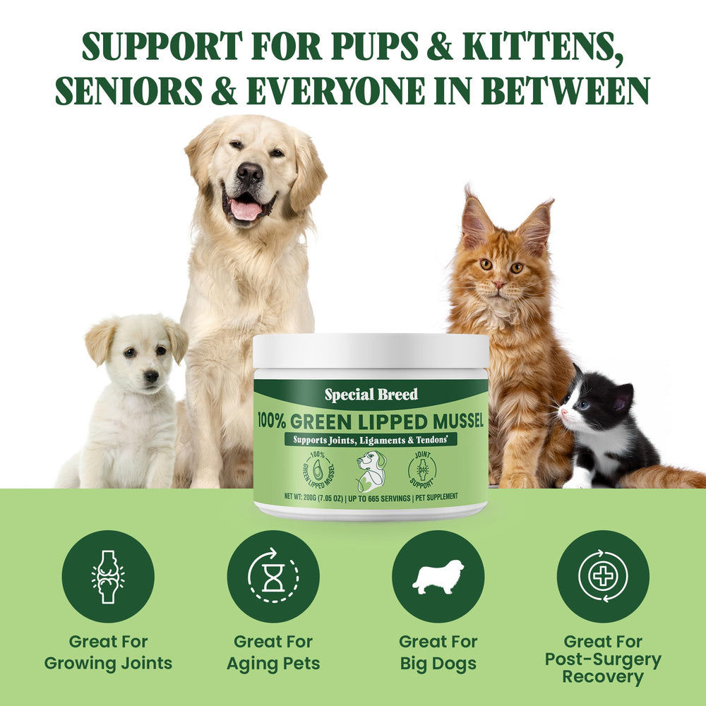 Special Breed powder for meal mix aiding ease of daily feeding.