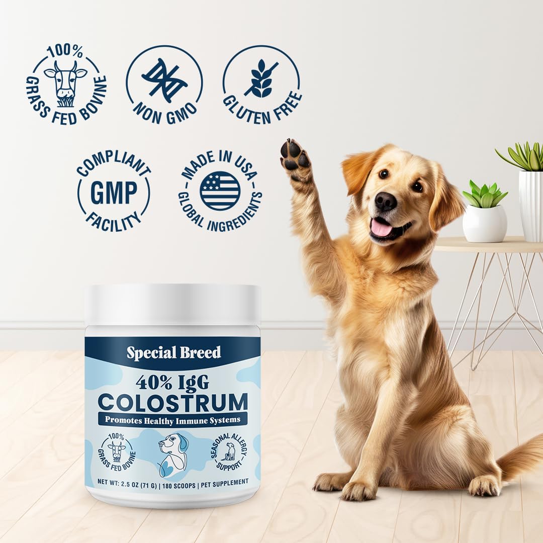 Special Breed powder in dish with meal illustrating convenient mixing.