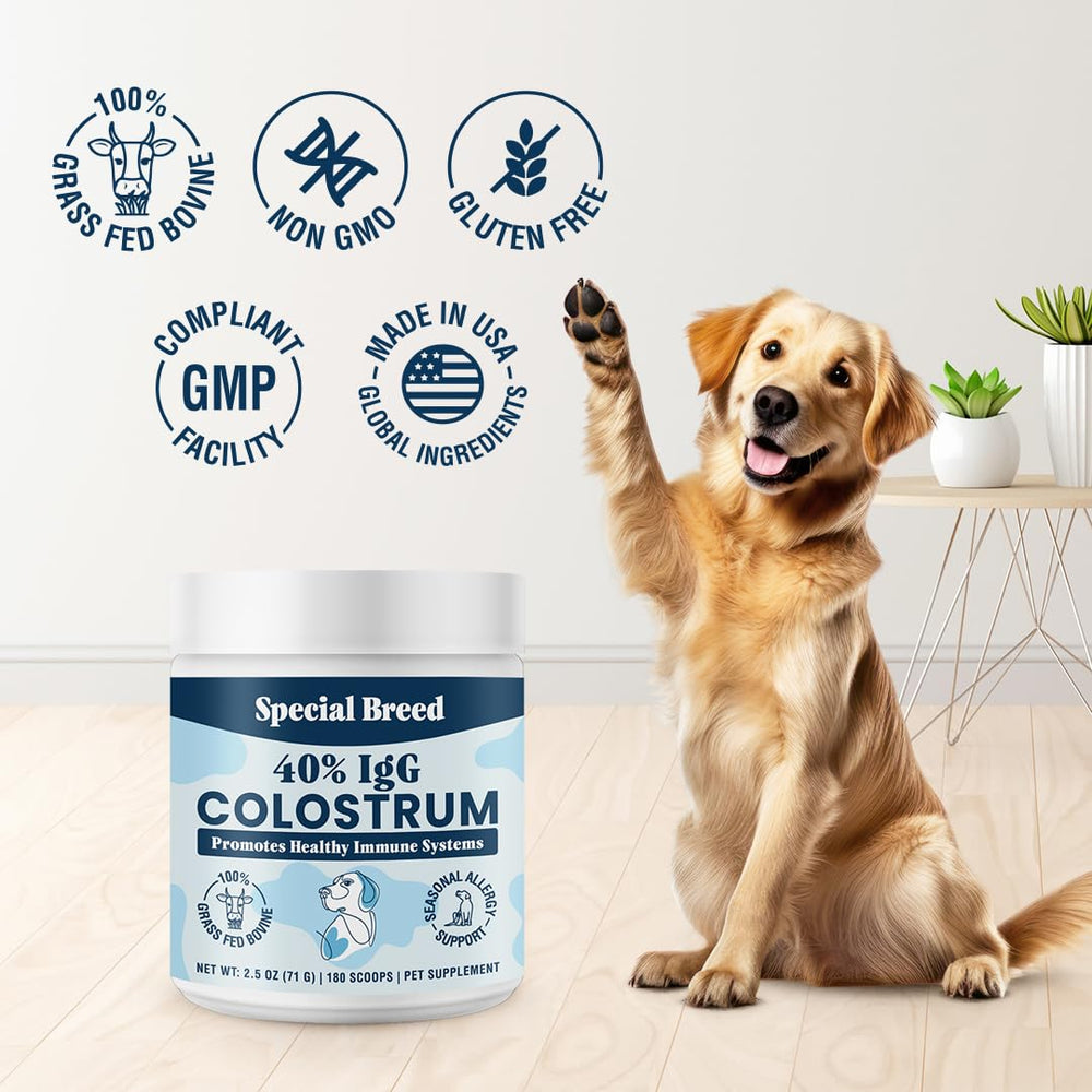 Special Breed powder in dish with meal illustrating convenient mixing.