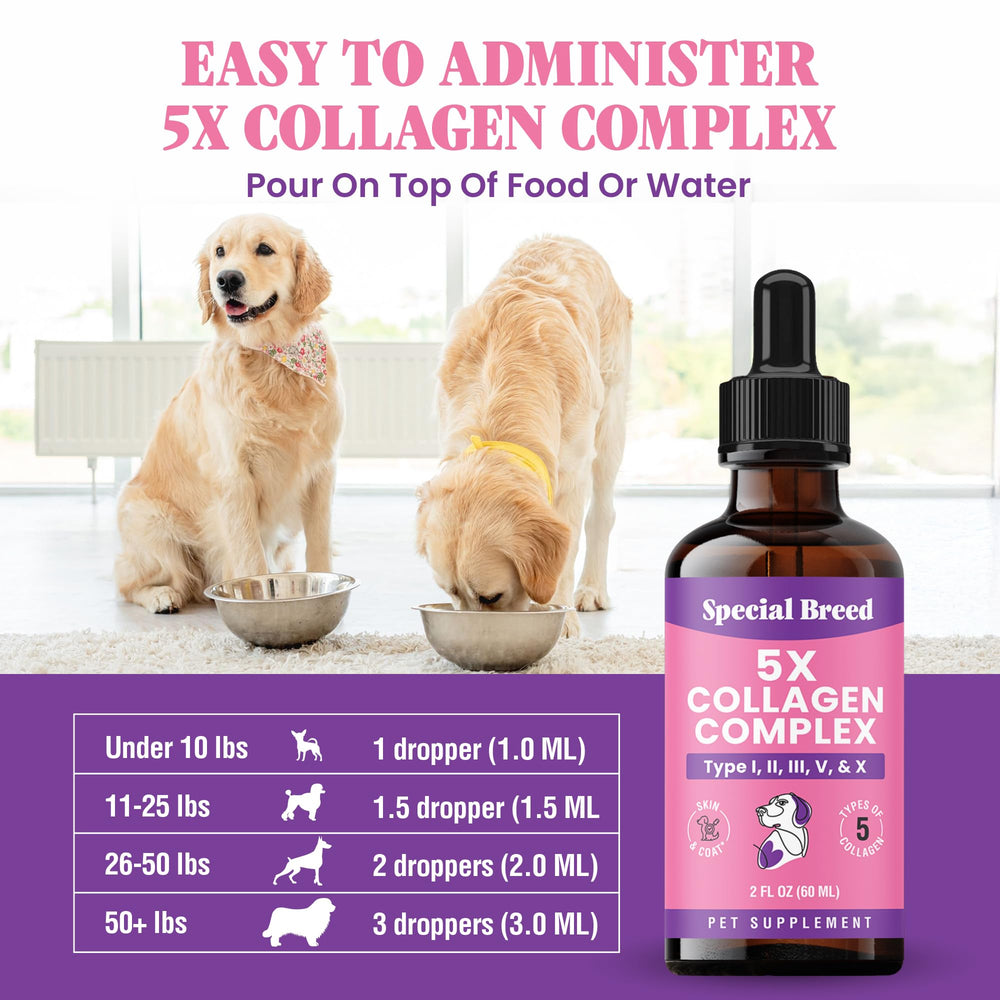 Special Breed collagen liquid supports joints and mobility in dogs.