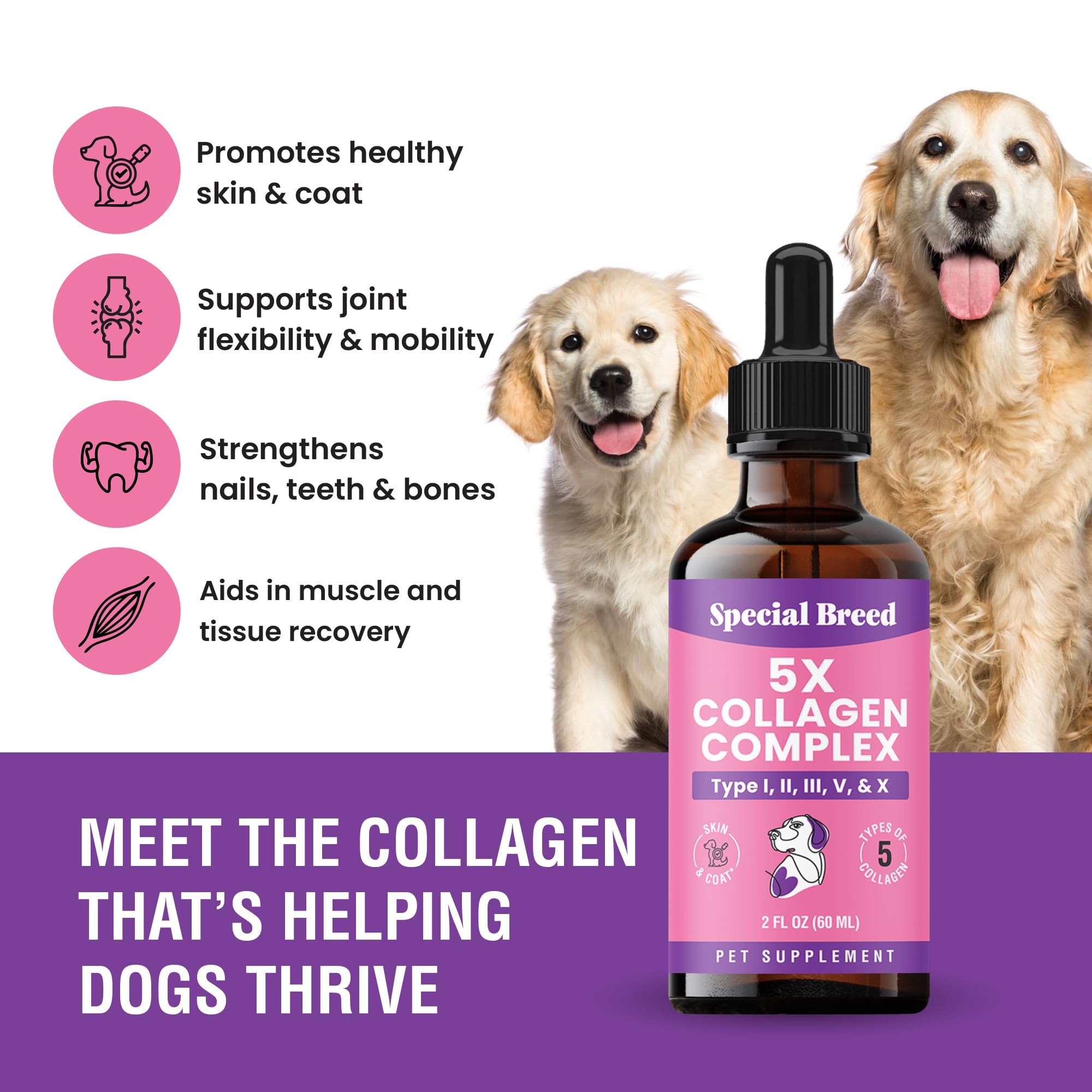 Special Breed dog collagen being poured into food for coat nourishment.