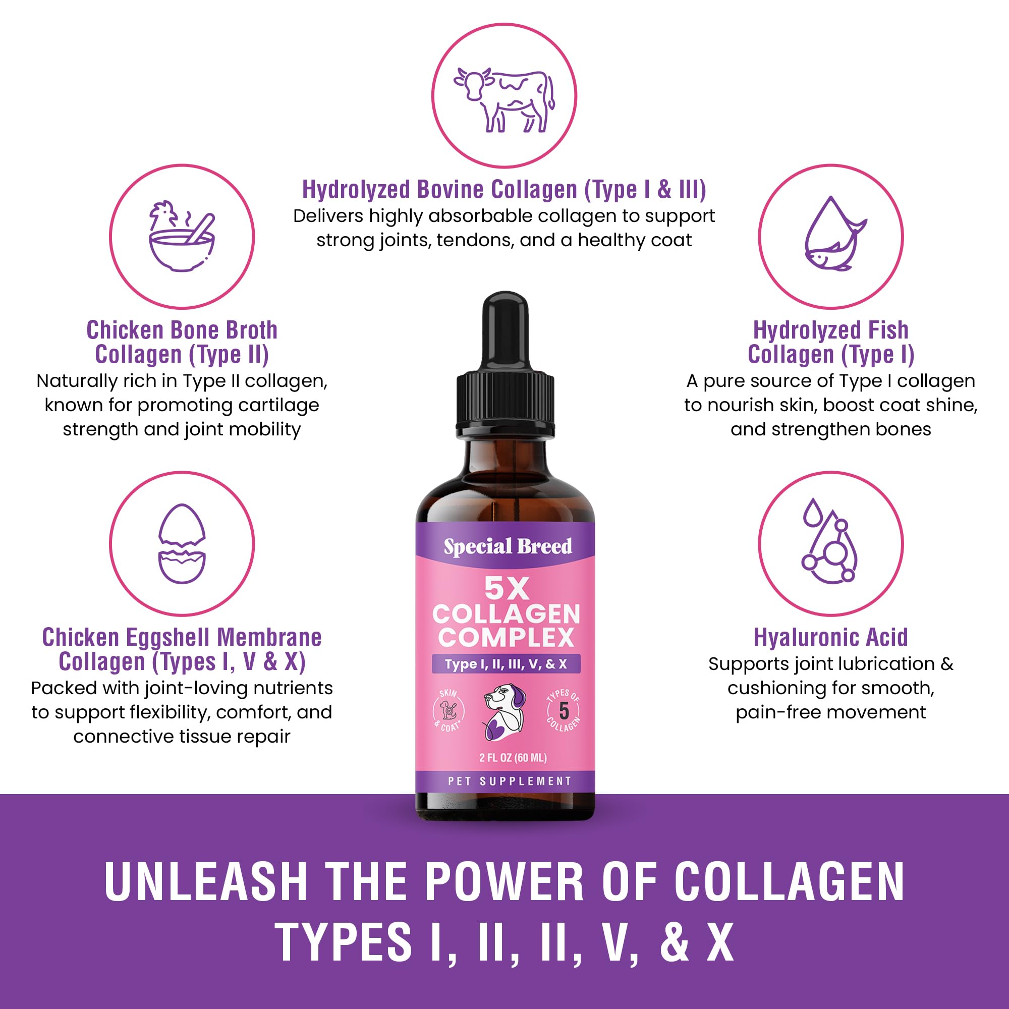 Special Breed dog collagen liquid boosts coat shine and softness.
