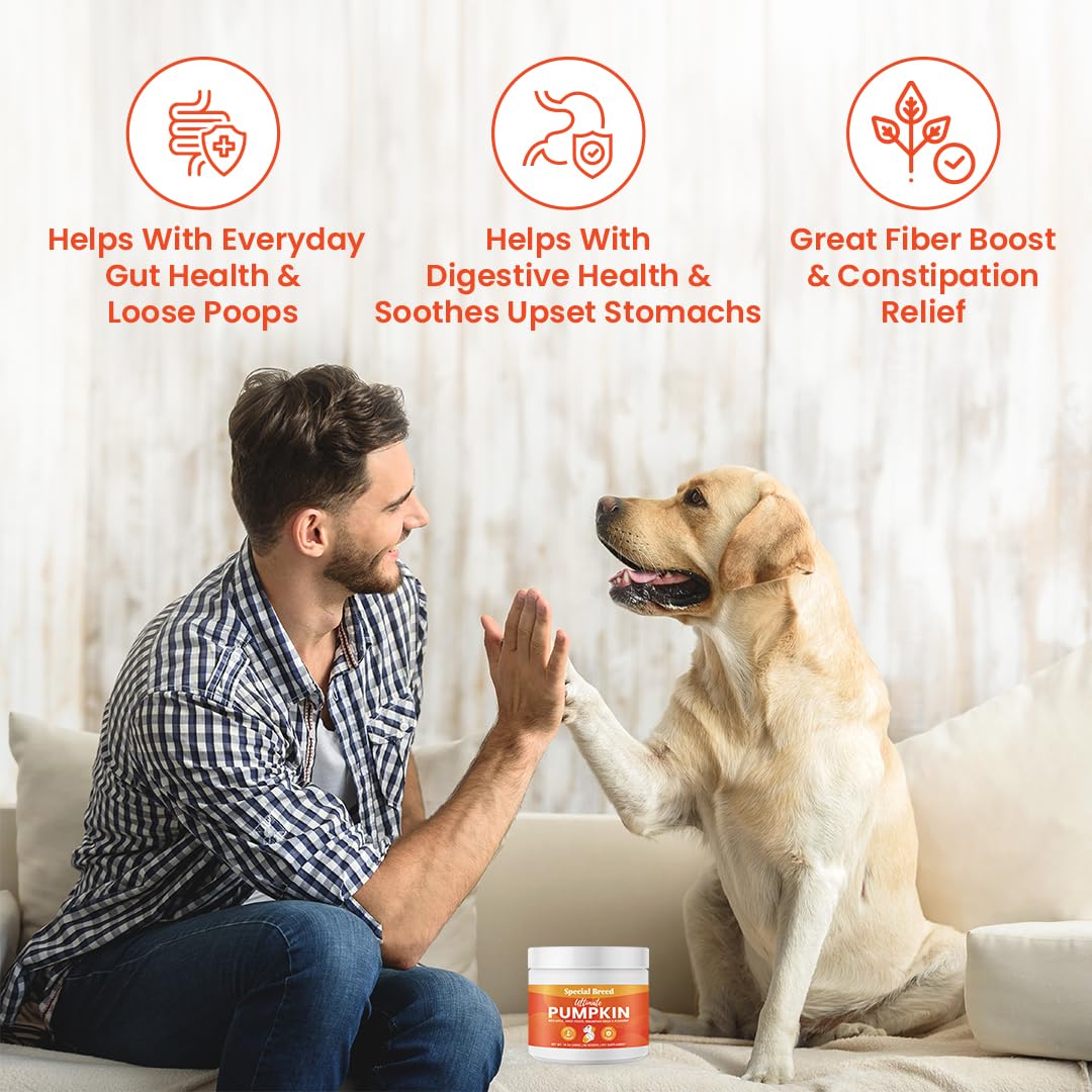 Special Breed pumpkin powder dog food topper sprinkled on meals for flavor.