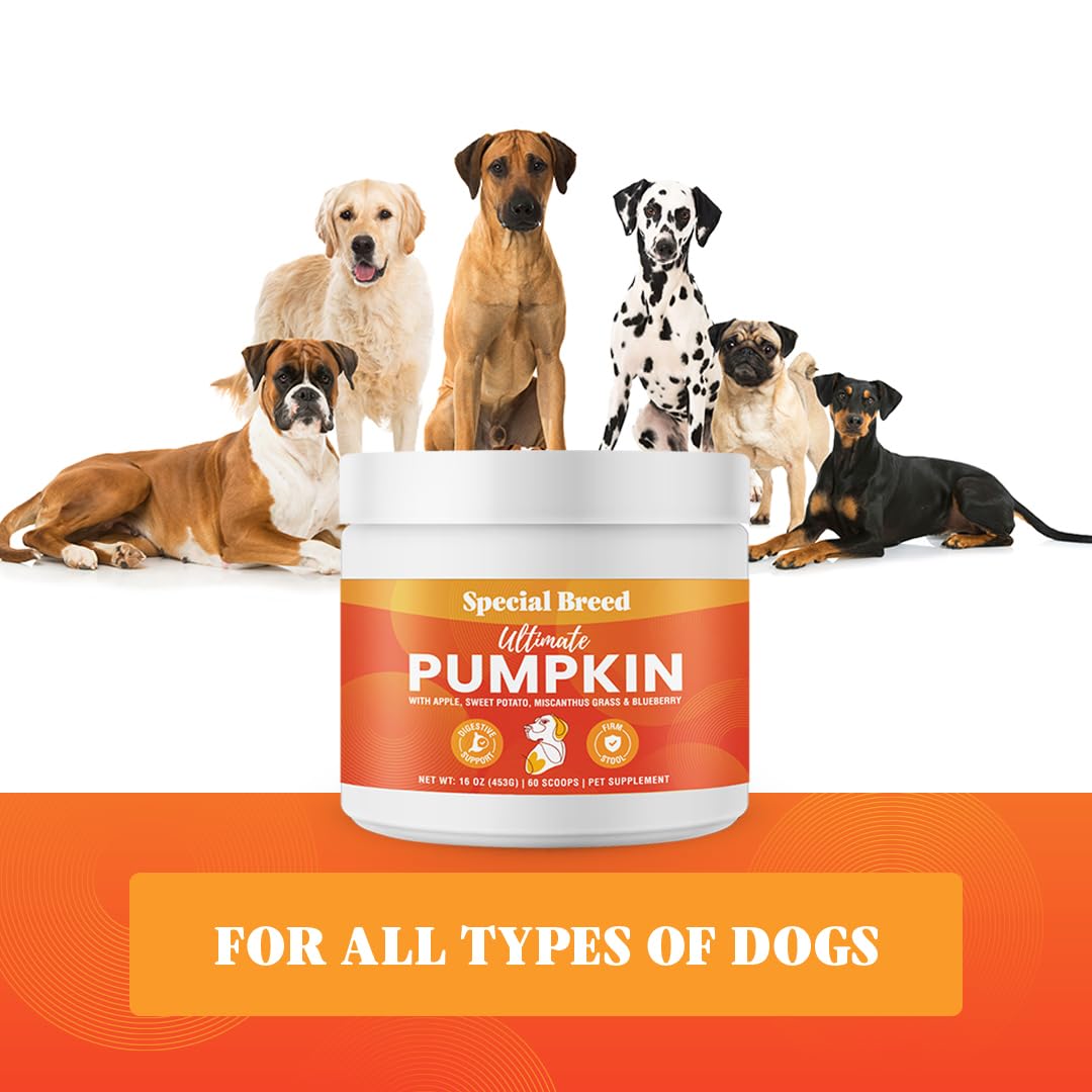 Special Breed pumpkin powder as a practical alternative to canned pumpkin.