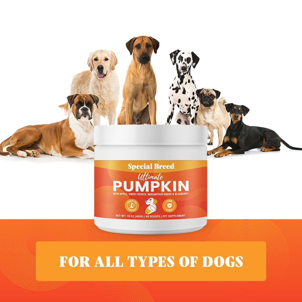 Special Breed pumpkin powder as a practical alternative to canned pumpkin.