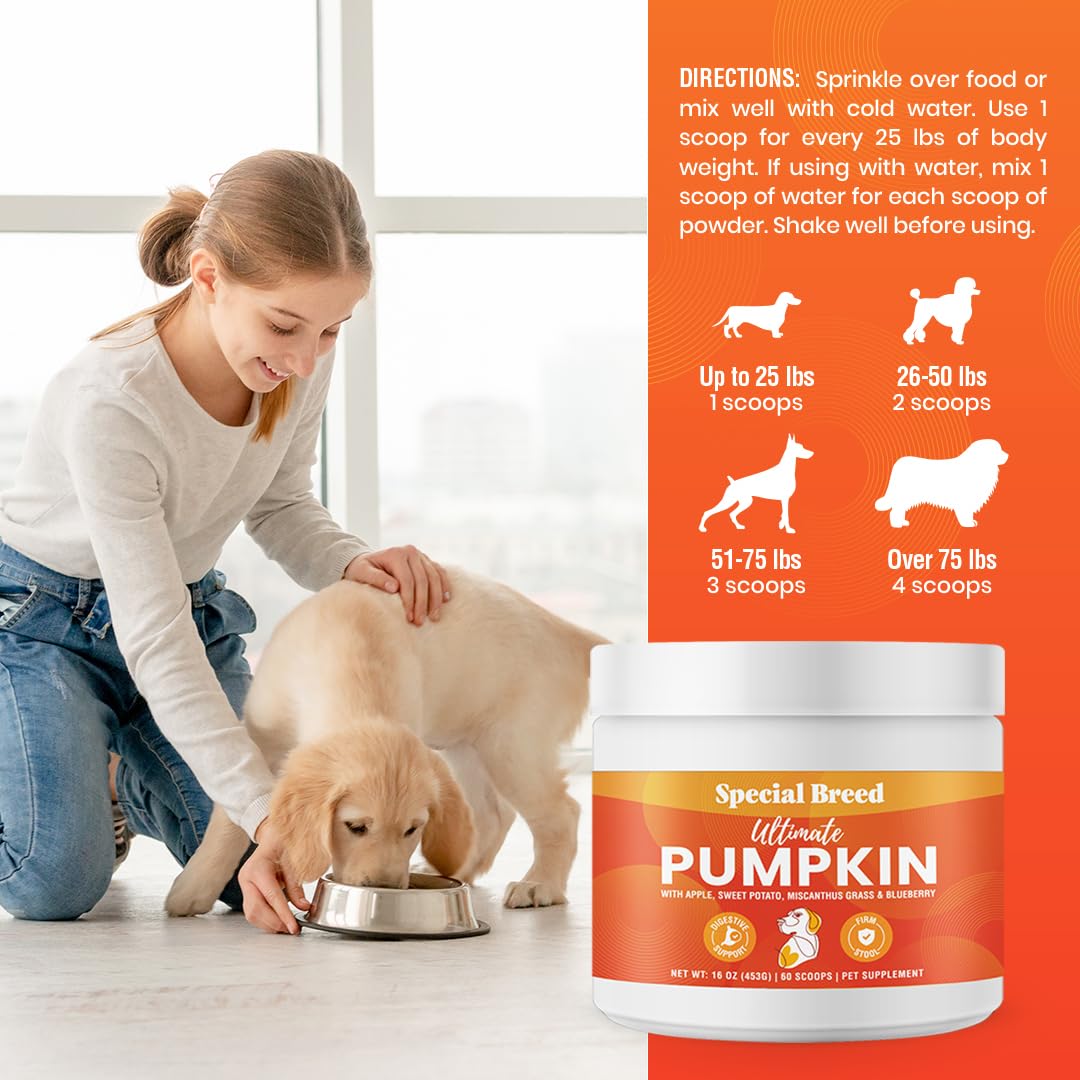 Special Breed 60 scoops per bottle illustration highlighting value and convenience.