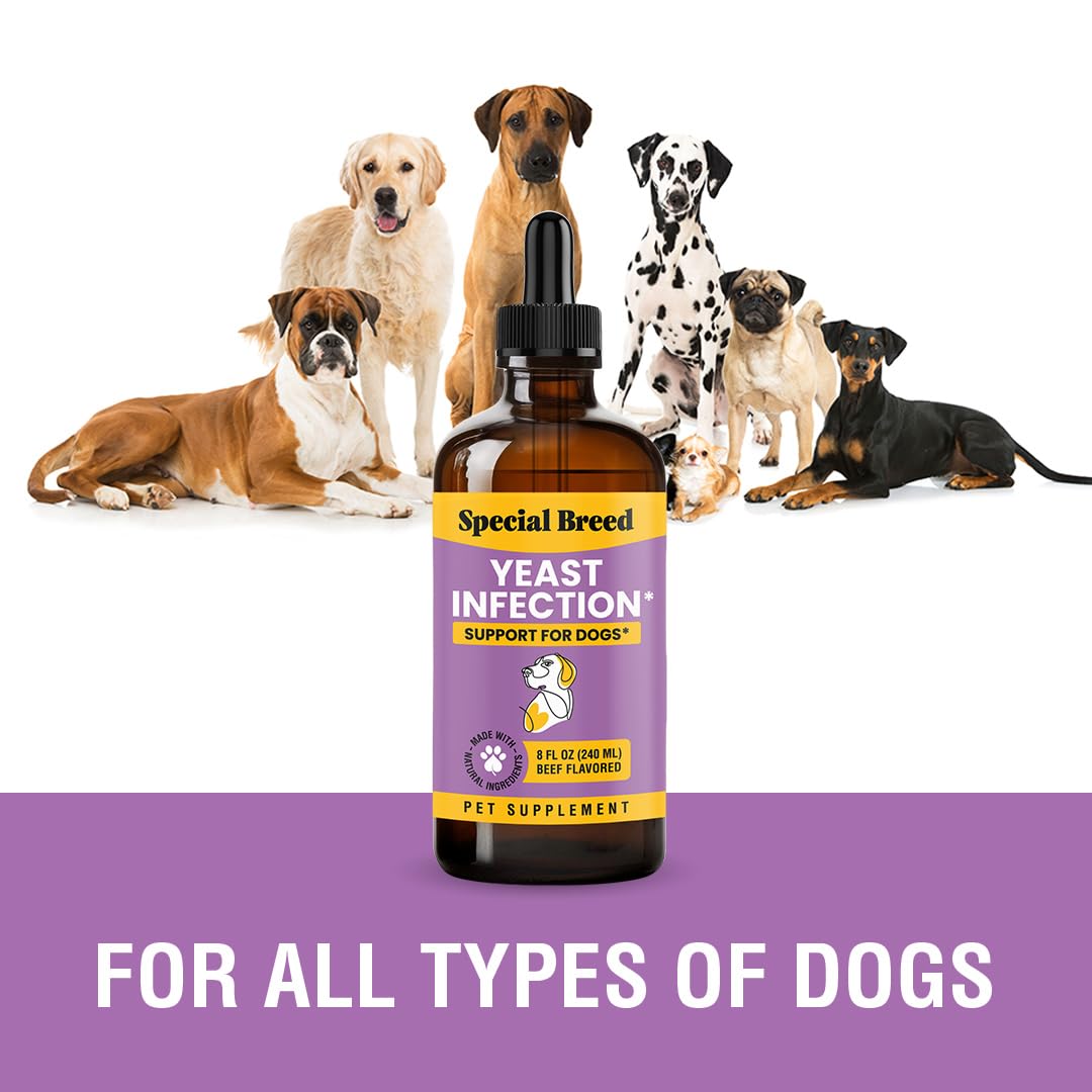 Special Breed skin and yeast support for everyday comfort