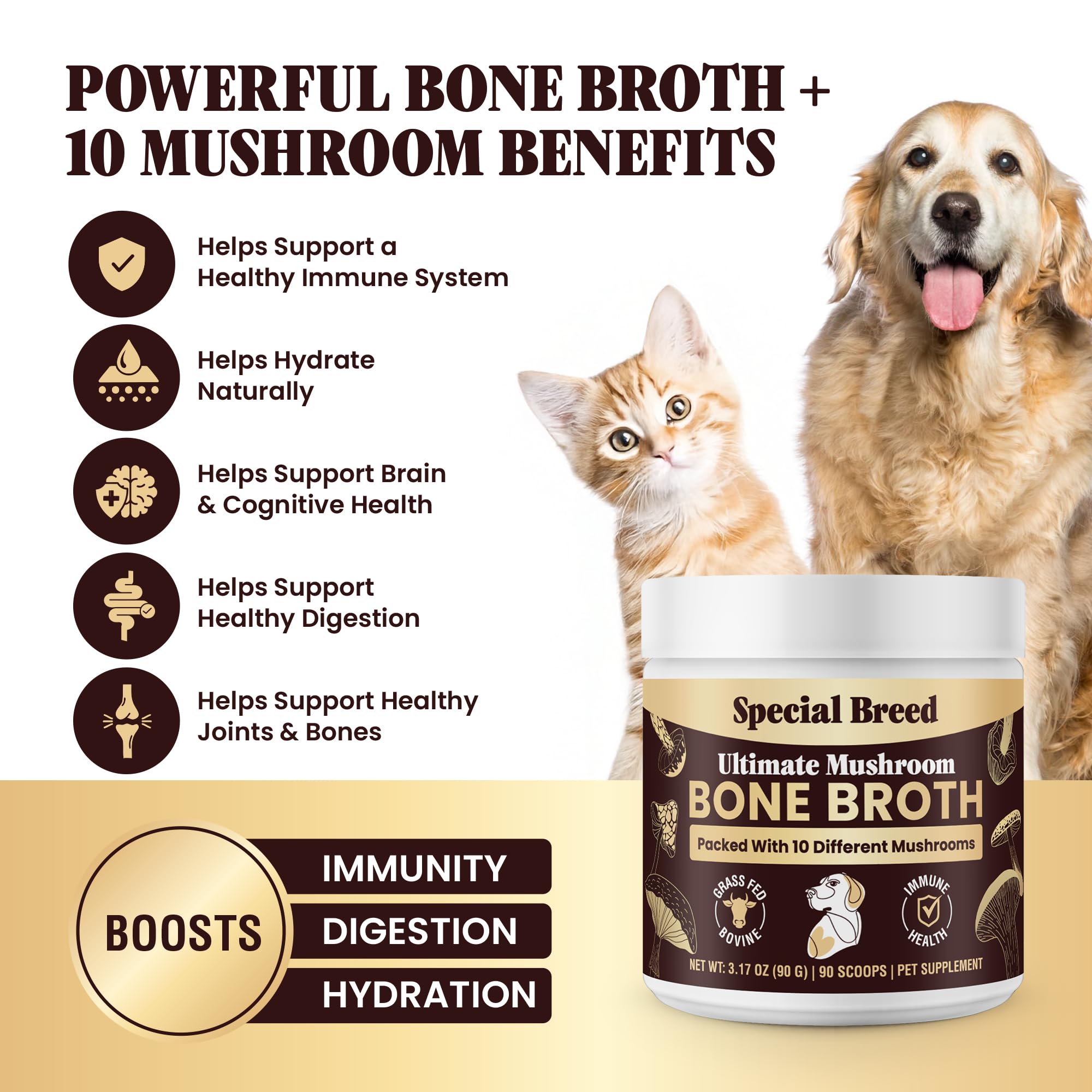 Special Breed ten mushrooms immune support close-up highlights beta-glucans