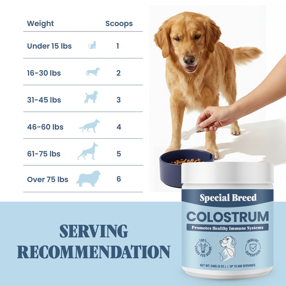 Special Breed USA GMP manufactured supplement – trusted pet health support.