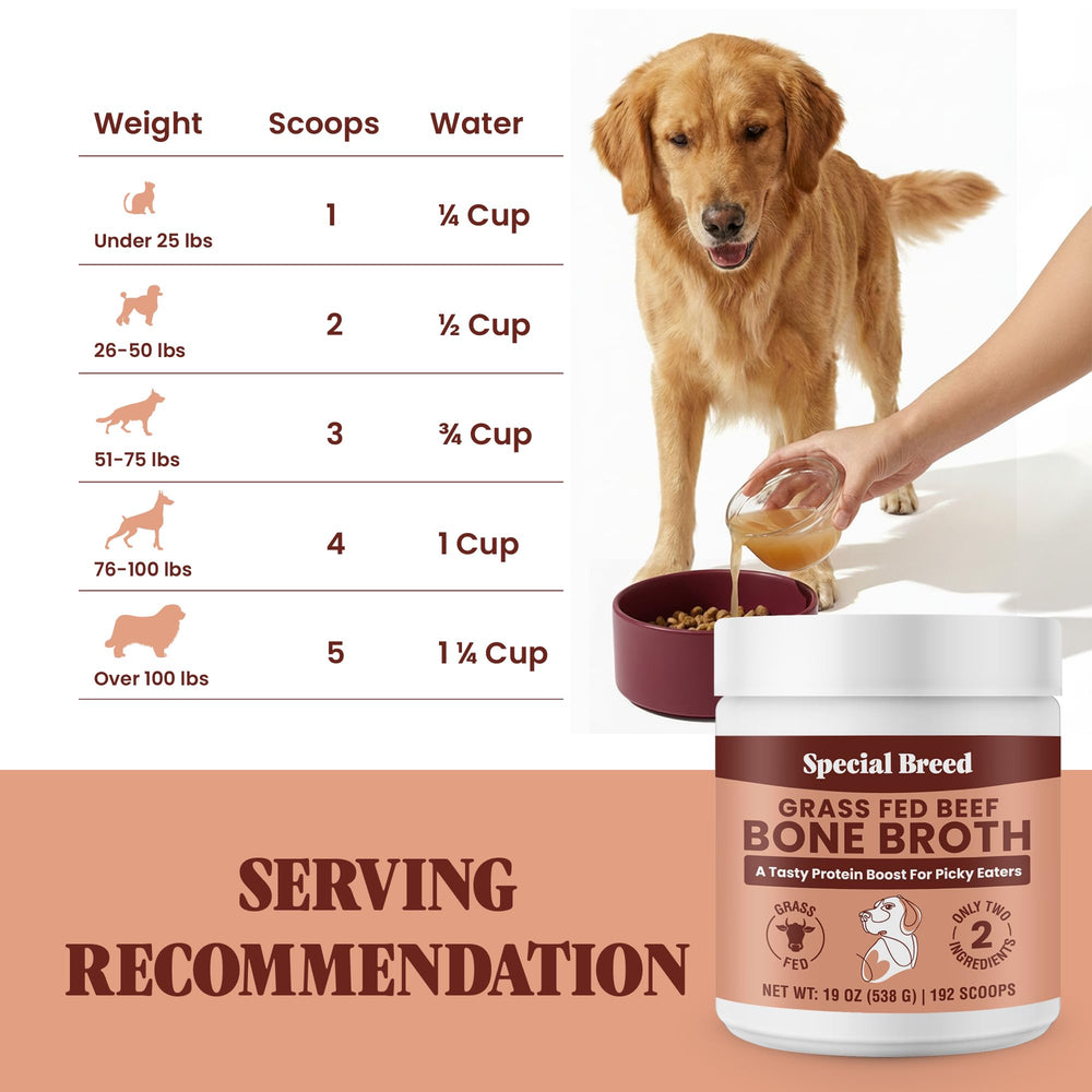 Special Breed pet-enjoying-meal captures savory aroma and flavor appeal.