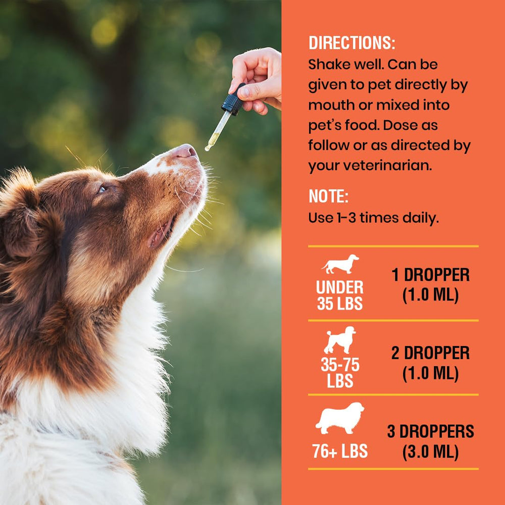 Special Breed vitamin C liquid for dogs supports routine immune-friendly care.