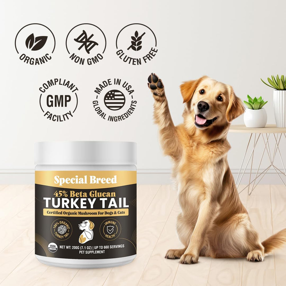 USDA Organic whole fruiting body featured in Special Breed turkey tail product