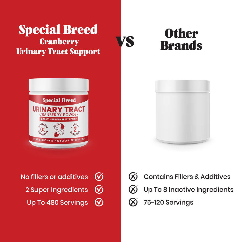 Special Breed UTI powder close-up on cranberry-rich blend.