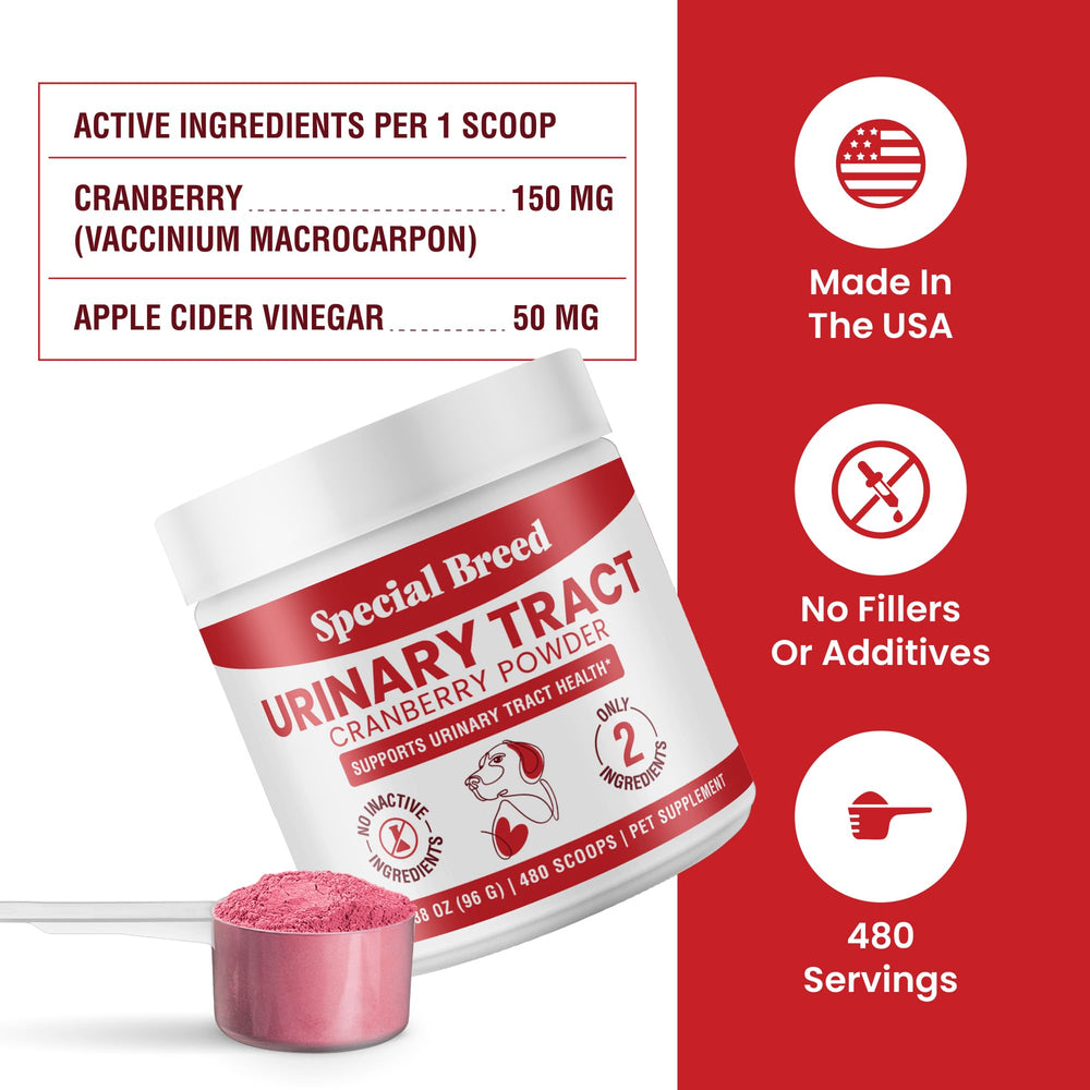 Special Breed UTI powder daily-use routine for bladder comfort.
