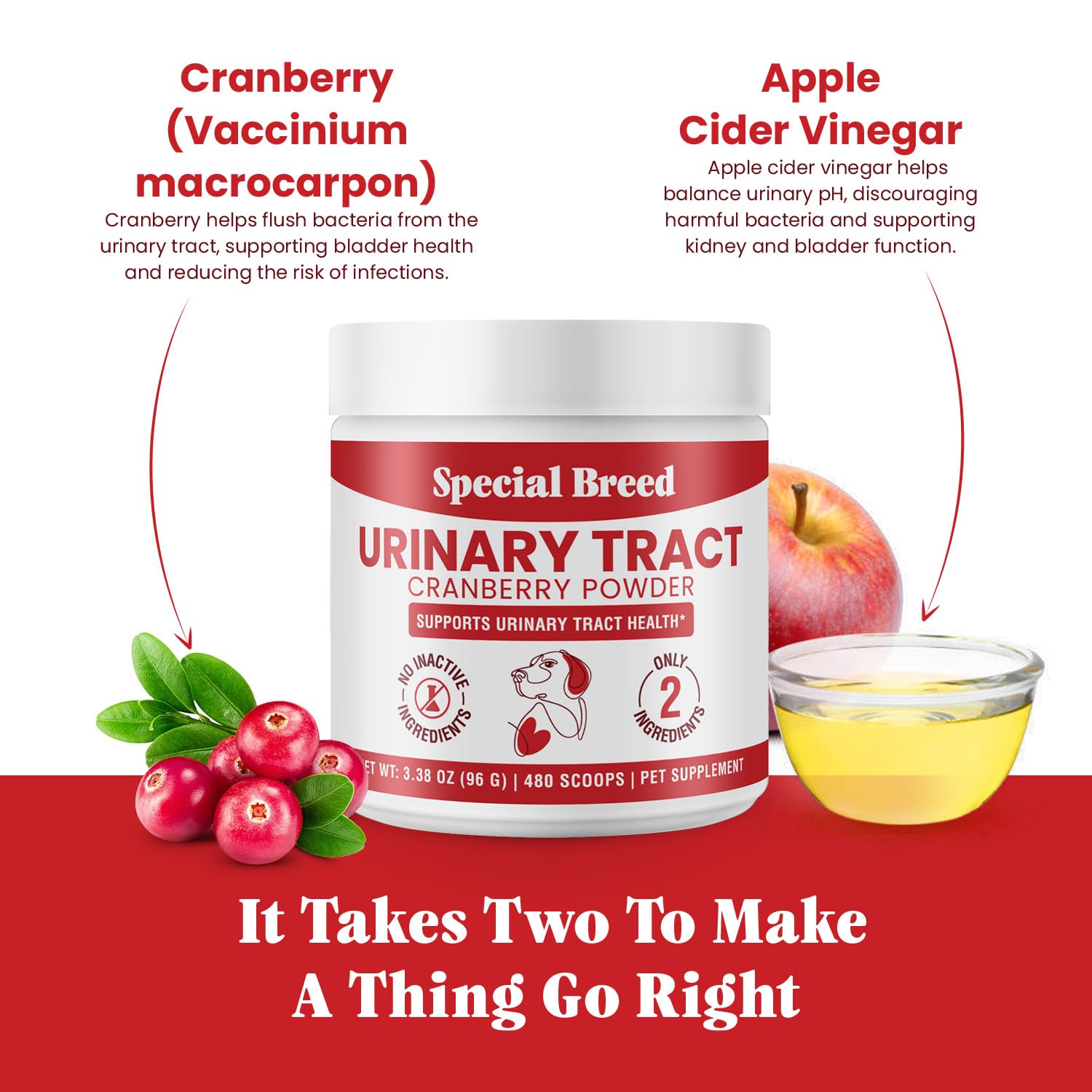 Special Breed UTI powder dosing spoon ready for easy daily use.