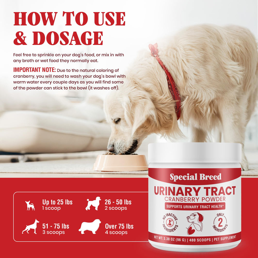 Special Breed UTI powder label shows USA-made GMP facilities.