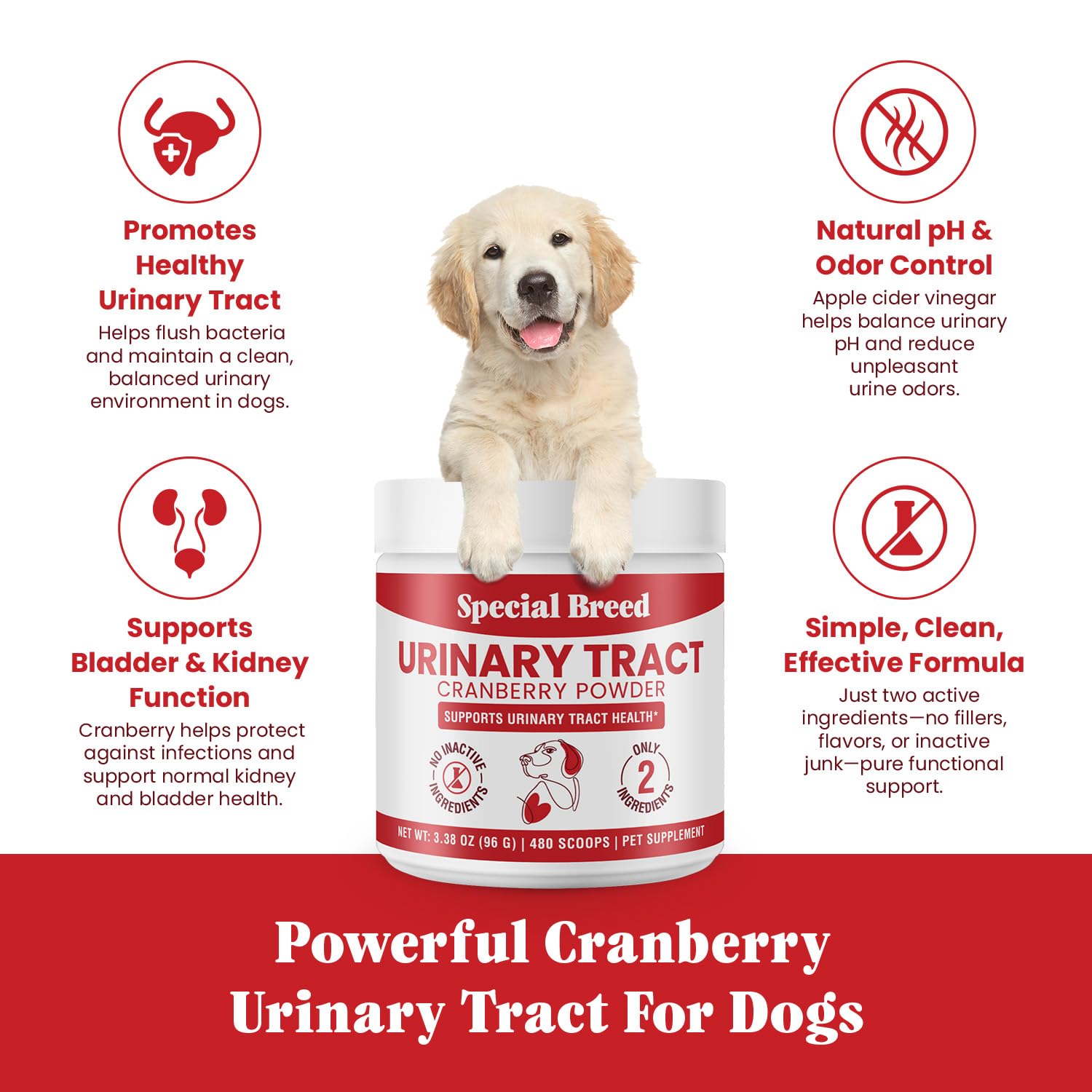 Special Breed UTI powder mixed into dog food for gentle urinary support.