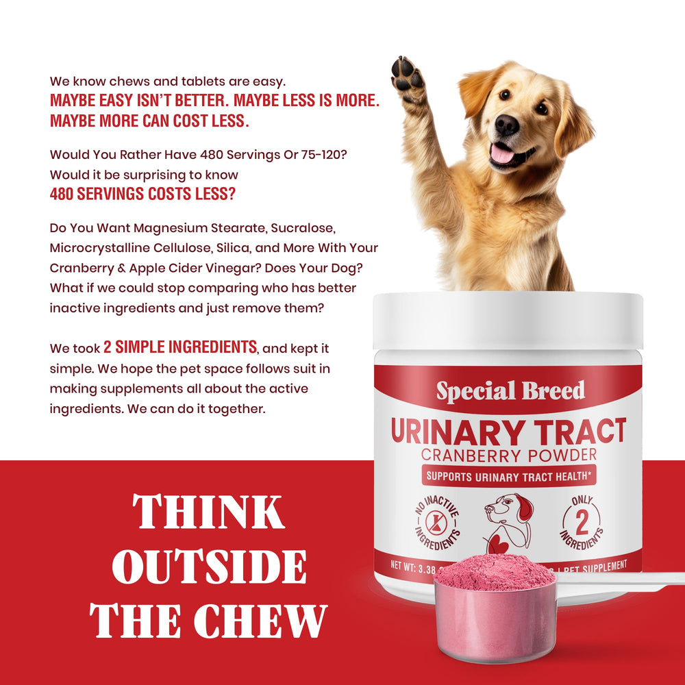 Special Breed UTI powder packaging highlighting two-ingredient formula.