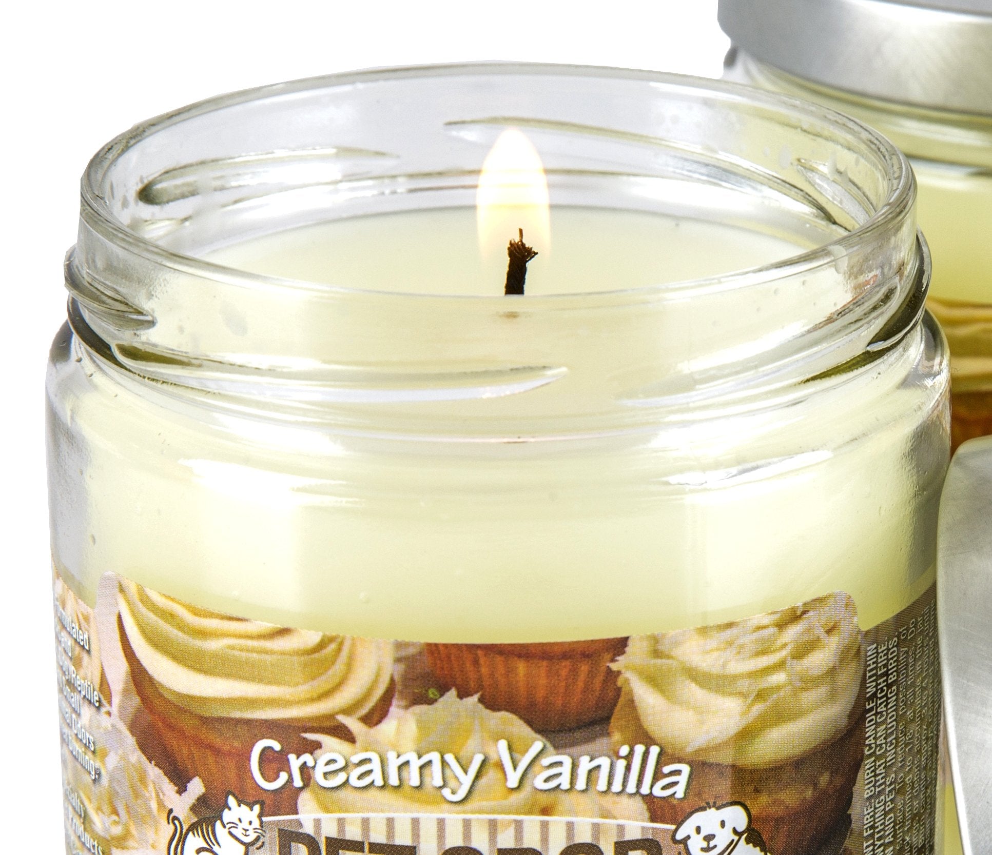 Specialty Pet Products Odor Exterminator Candle in a living room scene creates inviting ambiance.